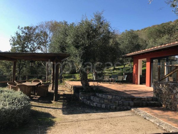 casa indipendente in vendita a Capalbio