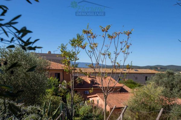 appartamento in vendita a Capalbio