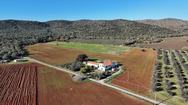 appartamento in vendita a Capalbio