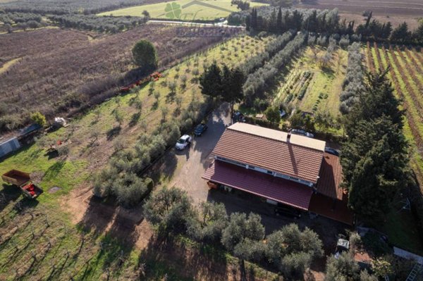 casa indipendente in vendita a Capalbio in zona Borgo Carige