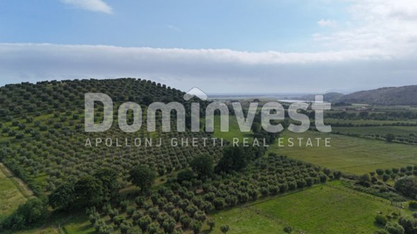 casale in vendita a Capalbio