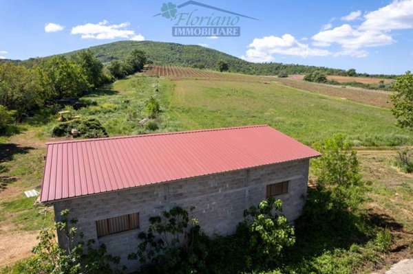 casa indipendente in vendita a Capalbio