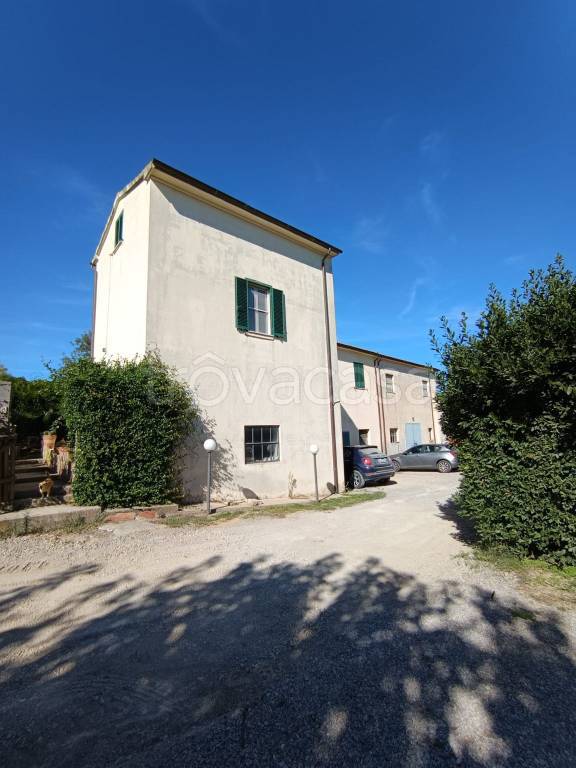 casa indipendente in vendita a Capalbio in zona Pescia Fiorentina
