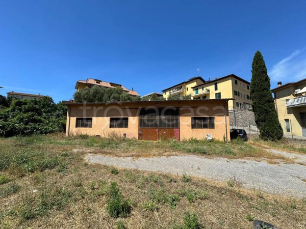 appartamento in vendita a Capalbio