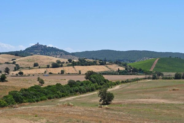 casale in vendita a Capalbio