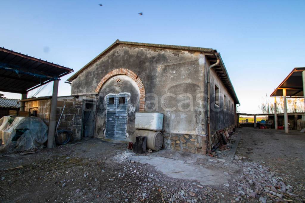 appartamento in vendita a Capalbio