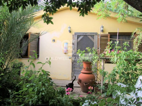 casa indipendente in vendita a Capalbio in zona Pescia Fiorentina