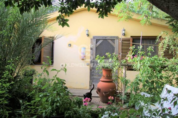casa indipendente in vendita a Capalbio in zona Pescia Fiorentina