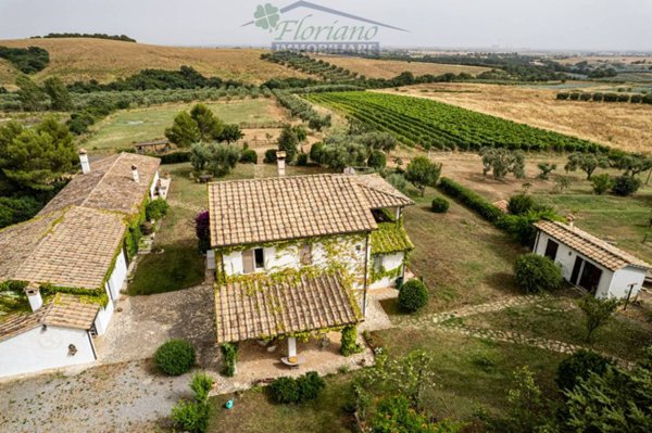 casa indipendente in vendita a Capalbio in zona Pescia Fiorentina