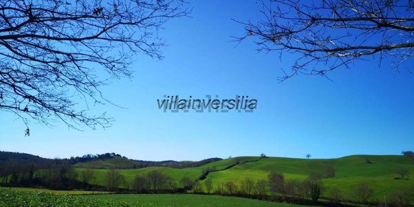 appartamento in vendita a Capalbio