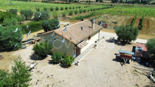 casa indipendente in vendita a Capalbio