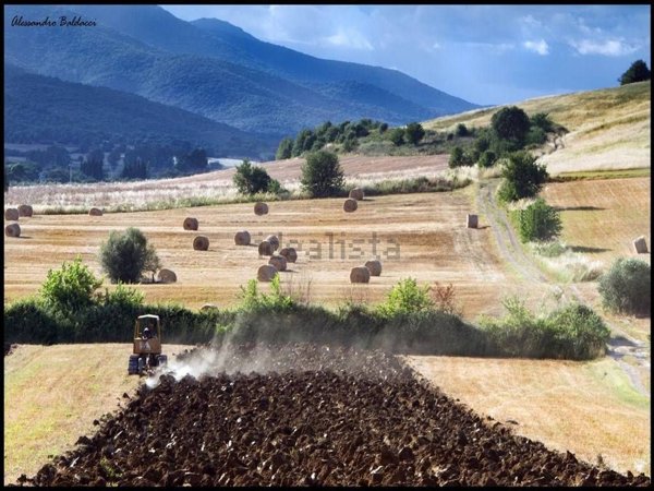 casale in vendita a Capalbio