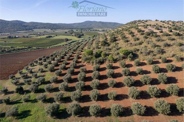 terreno agricolo in vendita a Capalbio