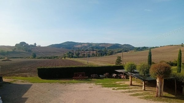 appartamento in vendita a Capalbio