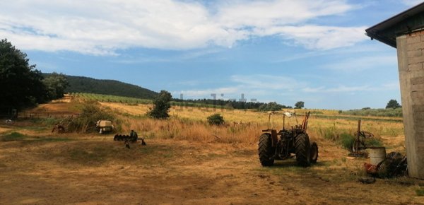 appartamento in vendita a Capalbio