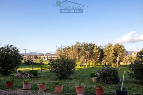 appartamento in vendita a Capalbio