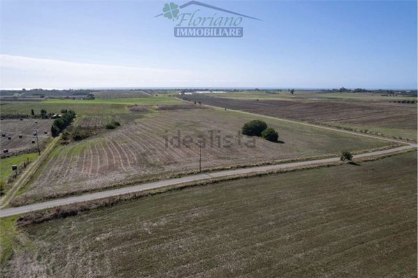 terreno agricolo in vendita a Capalbio
