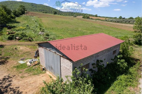 appartamento in vendita a Capalbio