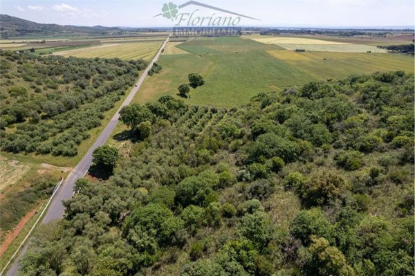 terreno agricolo in vendita a Capalbio