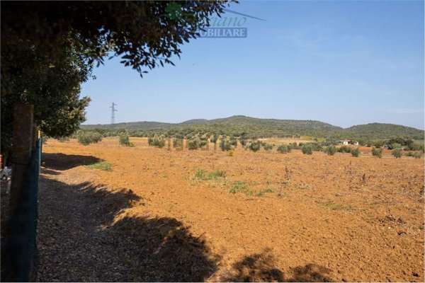 casa indipendente in vendita a Capalbio