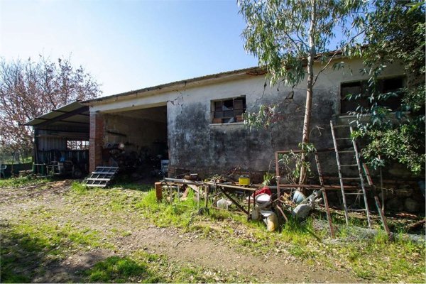 locale di sgombero in vendita a Capalbio in zona Borgo Carige