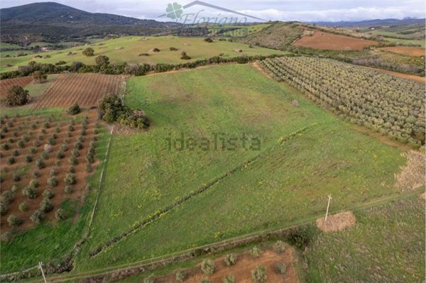 casa indipendente in vendita a Capalbio