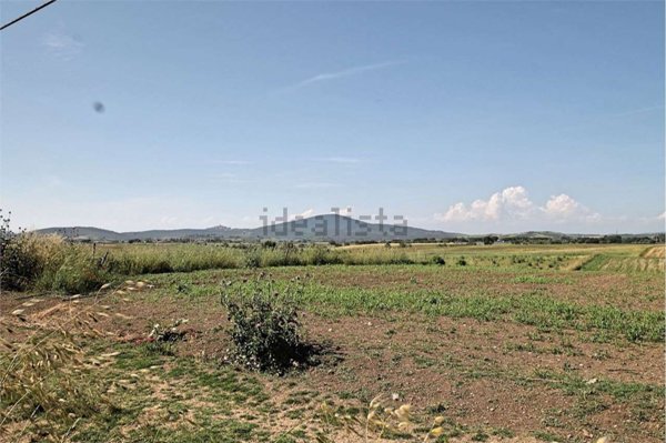 terreno agricolo in vendita a Capalbio in zona Borgo Carige