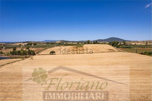 azienda agricola in vendita a Capalbio