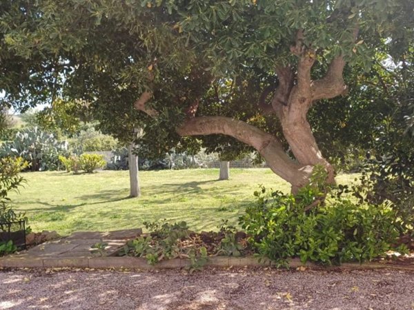 casa indipendente in vendita a Capalbio
