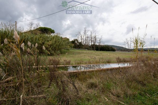 terreno edificabile in vendita a Capalbio in zona Borgo Carige
