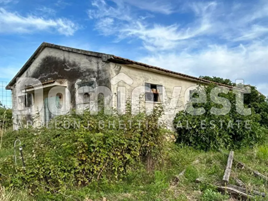 casale in vendita a Capalbio