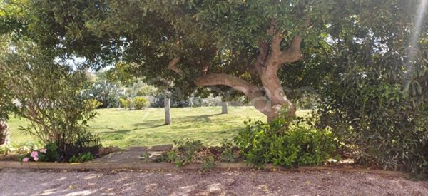 casa indipendente in vendita a Capalbio