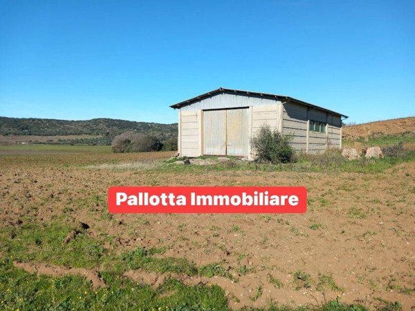 appartamento in vendita a Capalbio