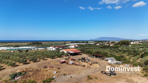 casa indipendente in vendita a Capalbio