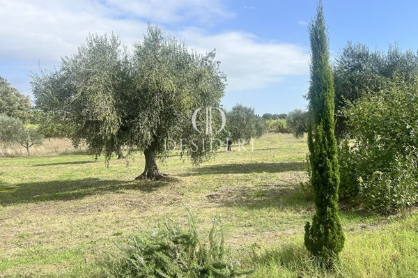 casa indipendente in vendita a Capalbio in zona Borgo Carige