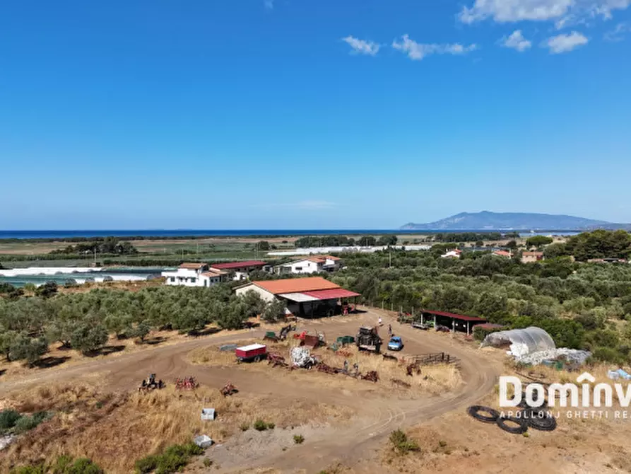 casa indipendente in vendita a Capalbio