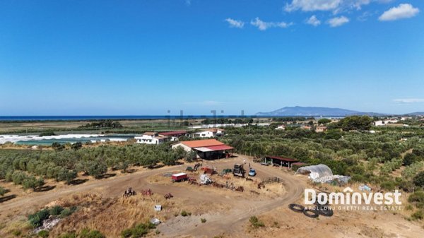 quadrivano in vendita a Capalbio