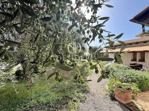 negozio in vendita a Capalbio