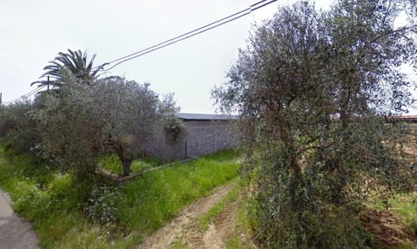 azienda agricola in vendita a Capalbio
