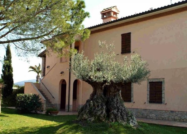 casa indipendente in vendita a Capalbio