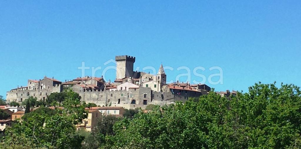 appartamento in vendita a Capalbio