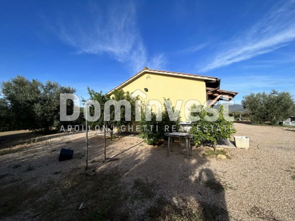 appartamento in vendita a Capalbio