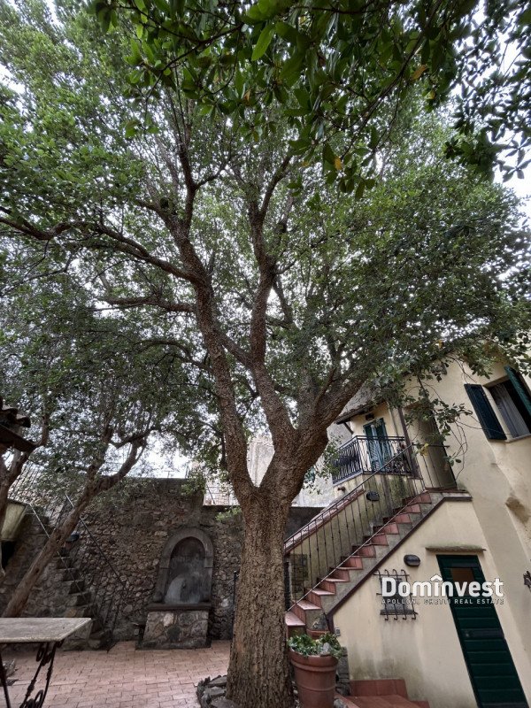 intera palazzina in vendita a Capalbio