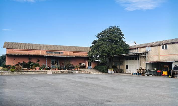 appartamento in vendita a Capalbio in zona La Torba