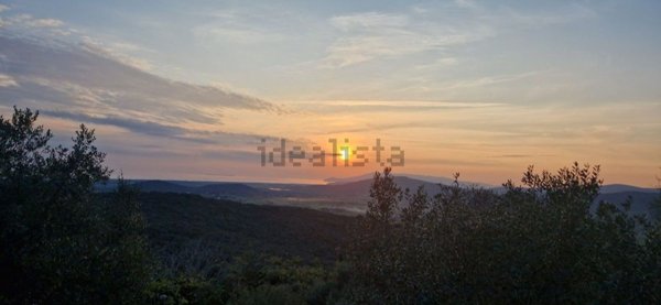 appartamento in vendita a Capalbio