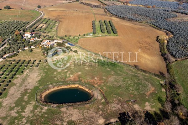 terreno agricolo in vendita a Capalbio