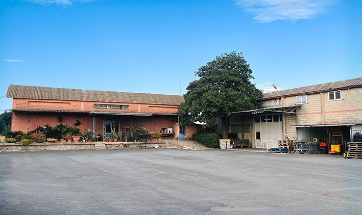 negozio in vendita a Capalbio in zona La Torba