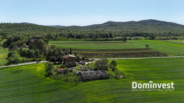 appartamento in vendita a Capalbio