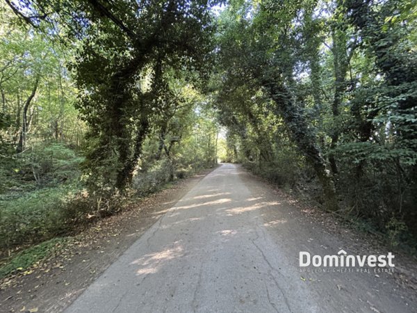 casale in vendita a Capalbio