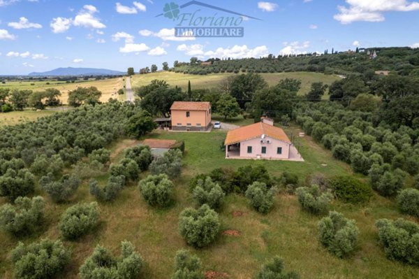 casa indipendente in vendita a Capalbio in zona Pescia Fiorentina